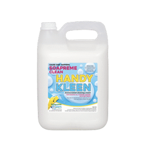 Handy Kleen